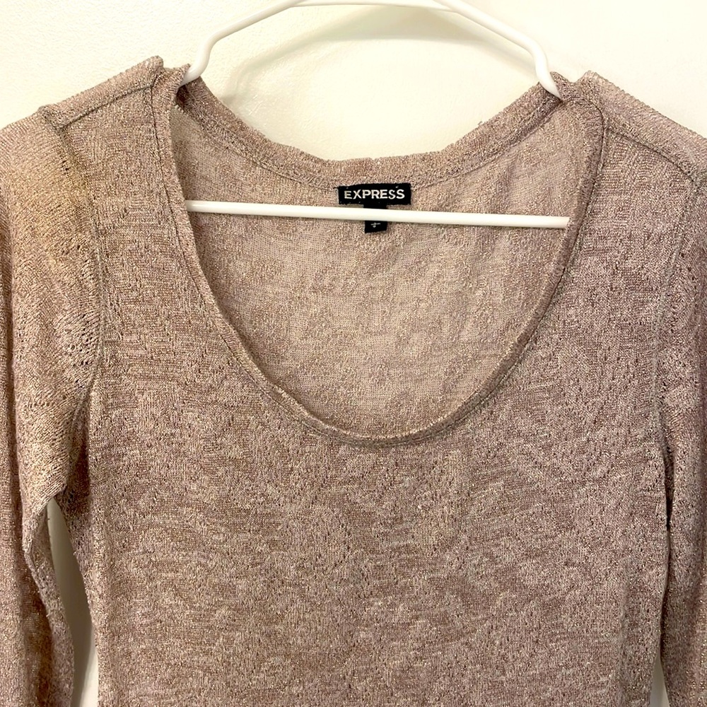 Express Sheer top